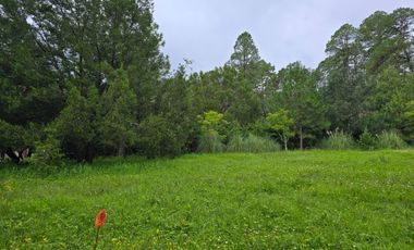 Terreno en Venta en Quinta Andrea, Huasca de Ocampo – 1,200 m²