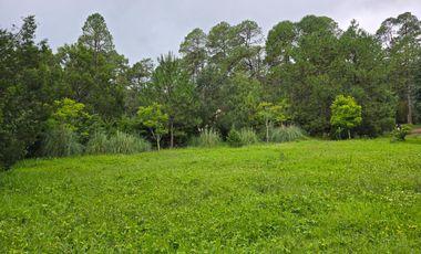 Terreno en Venta en Quinta Andrea, Huasca de Ocampo – 1,200 m²