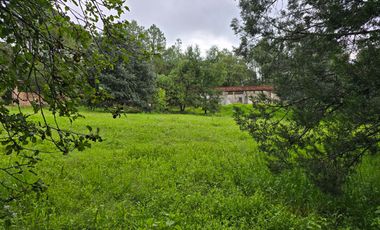 Terreno en Venta en Quinta Andrea, Huasca de Ocampo – 1,200 m²