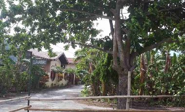 3 Bedroom House for sale in St Francis Subdivision, Silay City, Negros Occidental