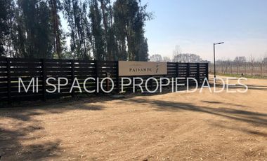 Carampangue- Camino San José - Paisandú