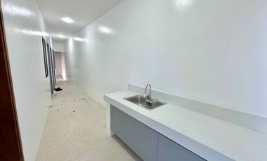 MODERN DESIGN BRAND NEW HOUSE AND LOT FOR SALE IN BF HOMES PARANAQUE CITY