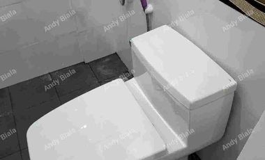 Pre-owned / Resale House and Lot FOR SALE at Camella Homes, Urdaneta City, Pangasinan