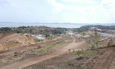 Pre-Selling Exclusive Residential Lots at Pililla Rizal Overlooking Laguna Lake