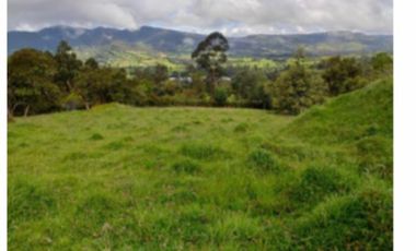 Se vende lote en Altos de Potosi, Guasca