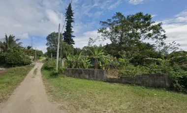 PRIME LOT FOR SALE ALONG TAGAYTAY NASUGBU HIGHWAY  CLEAN TITLE