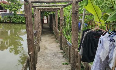 Authentic Thai Teak House with Private Pond   A Hidden Oasis in Bang Kruai, Nonthaburi (Thanakorn Village 2)