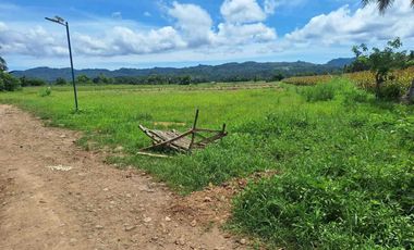 LOT FOR SALE IN ORMOC CITY