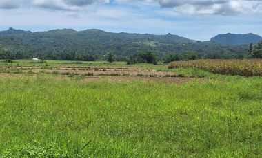 LOT FOR SALE IN ORMOC CITY