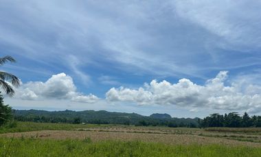 LOT FOR SALE IN ORMOC CITY