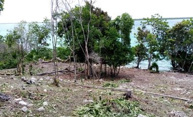 TERRENO EN BUENAVISTA