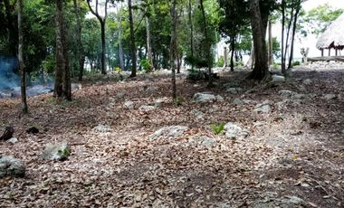 TERRENO EN BUENAVISTA