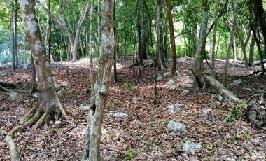 TERRENO EN BUENAVISTA