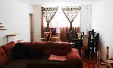 Casa en venta colonia Ramos Millán