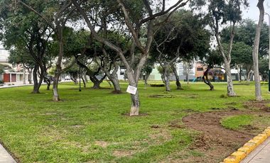 Alquiler de Exclusivo Dúplex 260m2 en Urbanización Las Gardenias - Surco
