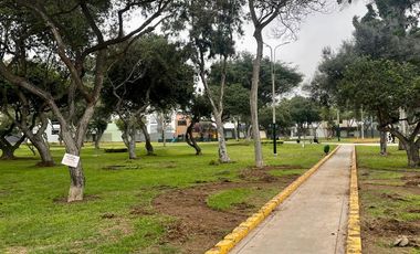Alquiler de Exclusivo Dúplex 260m2 en Urbanización Las Gardenias - Surco
