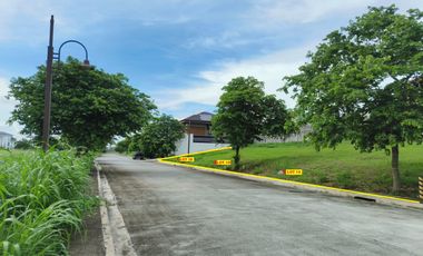 Lot For Sale - Alabang West Village