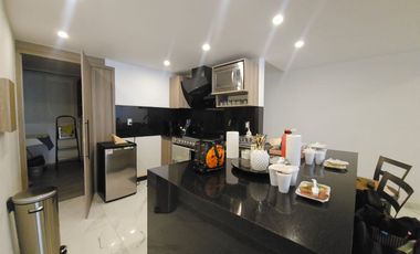 Depto Paseos de Churubusco Amplio, iluminado,seminuevo e ideal p/Ejecutivos