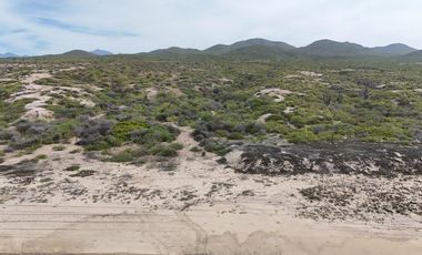Terreno con Frente de playa