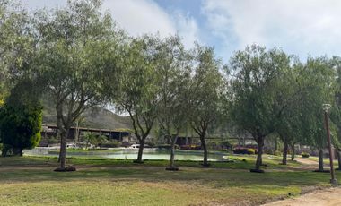VENTA DE LOTE EN FUNDO PRADERA ASIA - CAÑETE