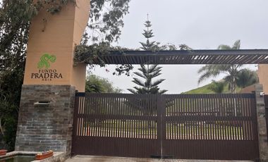 VENTA DE LOTE EN FUNDO PRADERA ASIA - CAÑETE