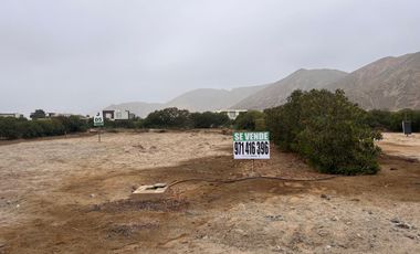 VENTA DE LOTE EN FUNDO PRADERA ASIA - CAÑETE
