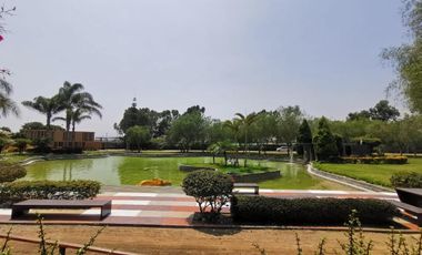 VENTA DE LOTE EN FUNDO PRADERA ASIA - CAÑETE
