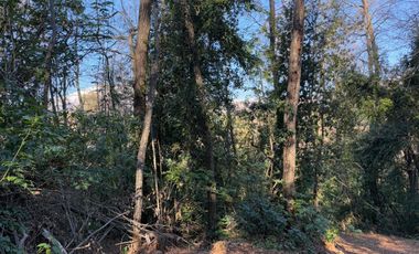 Se vende parcela 14.700 m2 con hermosa vista en Vilches Alto