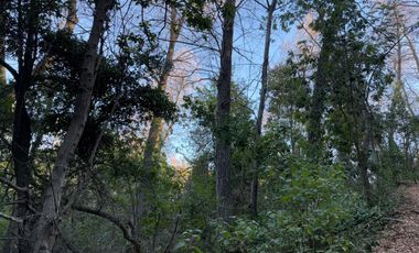 Se vende parcela 14.700 m2 con hermosa vista en Vilches Alto