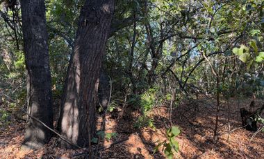 Se vende parcela 14.700 m2 con hermosa vista en Vilches Alto