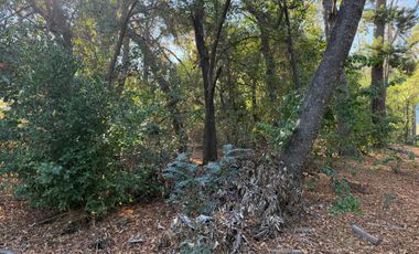 Se vende parcela 14.700 m2 con hermosa vista en Vilches Alto