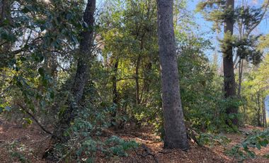 Se vende parcela 14.700 m2 con hermosa vista en Vilches Alto