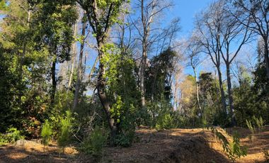 Se vende parcela 14.700 m2 con hermosa vista en Vilches Alto