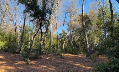 Se vende parcela 14.700 m2 con hermosa vista en Vilches Alto