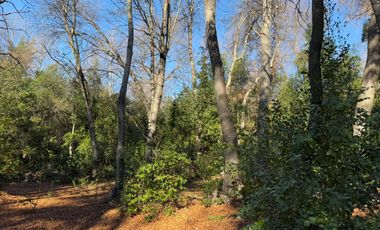 Se vende parcela 14.700 m2 con hermosa vista en Vilches Alto