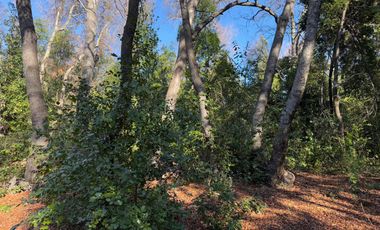 Se vende parcela 14.700 m2 con hermosa vista en Vilches Alto