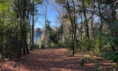 Se vende parcela 14.700 m2 con hermosa vista en Vilches Alto