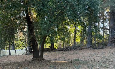 Se vende hermosa parcela en Vilches Alto