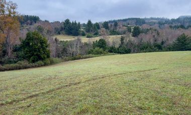 Campo de 109 hectáreas en La Unión, Loncotregua – Región de Los Ríos