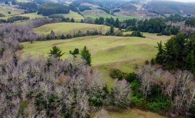 Campo de 109 hectáreas en La Unión, Loncotregua – Región de Los Ríos