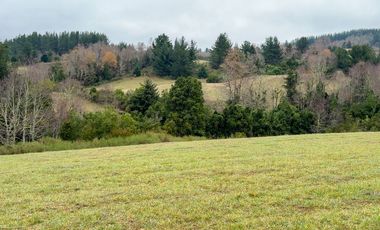 Campo de 109 hectáreas en La Unión, Loncotregua – Región de Los Ríos