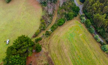 Campo de 109 hectáreas en La Unión, Loncotregua – Región de Los Ríos