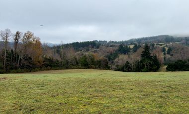 Campo de 109 hectáreas en La Unión, Loncotregua – Región de Los Ríos