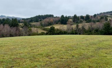 Campo de 109 hectáreas en La Unión, Loncotregua – Región de Los Ríos