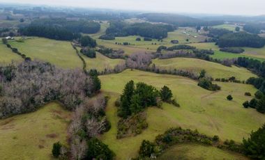 Campo de 109 hectáreas en La Unión, Loncotregua – Región de Los Ríos