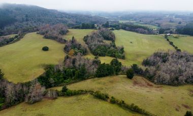 Campo de 109 hectáreas en La Unión, Loncotregua – Región de Los Ríos