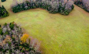 Campo de 109 hectáreas en La Unión, Loncotregua – Región de Los Ríos