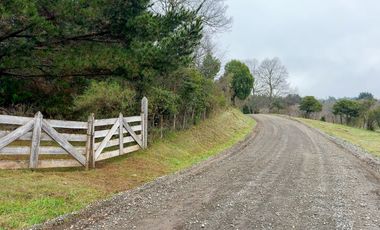 Campo de 109 hectáreas en La Unión, Loncotregua – Región de Los Ríos