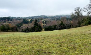 Campo de 109 hectáreas en La Unión, Loncotregua – Región de Los Ríos