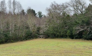 Campo de 109 hectáreas en La Unión, Loncotregua – Región de Los Ríos